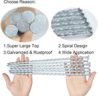 10 Inch Landscape Stakes Galvanized Metal Landscape Edging Anchoring Spikes Stakes, Camping Stakes Tent Pegs for Artificial Turf, Paver Edging, Weed Barrier, House Construction, Carpentry (50)
