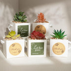 Temlum 2.5 Inch Succulent Wrap Bags (Fits 2.5″ Pots) with Thank You & Let Love Grow Stickers, Succulent Gift Box for Wedding, Baby Shower, Succulent Party Favors for Guests (White 40pcs)