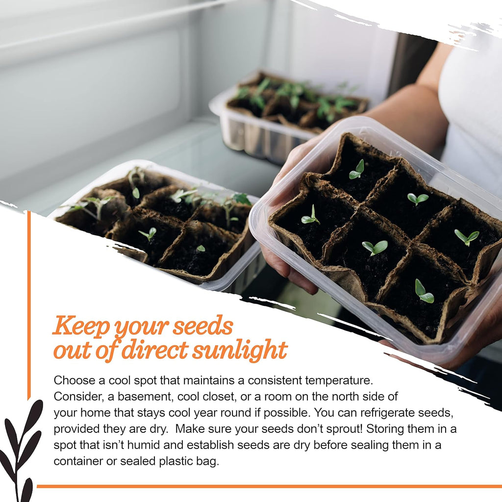 Seed Starter Kit – Salad Greens | Non-GMO | Heirloom Seed Packets | Natural Wood Row Markers | Over 100 Square Feet of Salad Greens