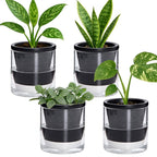 D'vine Dev 4 Inch Design Self Watering Planter for Indoor Plants, Black Terracotta Pot with Cylinder Glass Cup, Set of 4, 37-Z-A-3-F