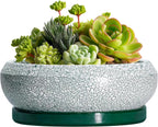 Succulent Pots - 6 Inch Ceramic Pots for Succulent Indoor Outdoor, Small Plant Pot with Drainage Hole and Saucer, Bonsai Pot, Modern Round Planter, Window Decor, Housewarming Gifts, Green
