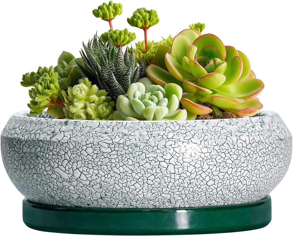 Succulent Pots - 6 Inch Ceramic Pots for Succulent Indoor Outdoor, Small Plant Pot with Drainage Hole and Saucer, Bonsai Pot, Modern Round Planter, Window Decor, Housewarming Gifts, Green