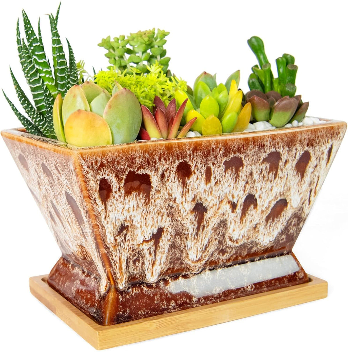 ARTKETTY Succulent Pots - 7 Inch Large Plant Pot with Drainage Tray, Shallow Ceramic Pots for Indoor Plants, Modern Cactus Bonsai Plant Container Decorative Home Office
