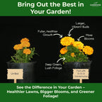 13-13-13 Slow Release Granular Fertilizer – All Purpose Plant Food 13 13 13 for Outdoor Grass, Vegetables, Roses, Flowers, Shrubs, Trees. Lawns, Gardens, Potted Plants (10 quarts)