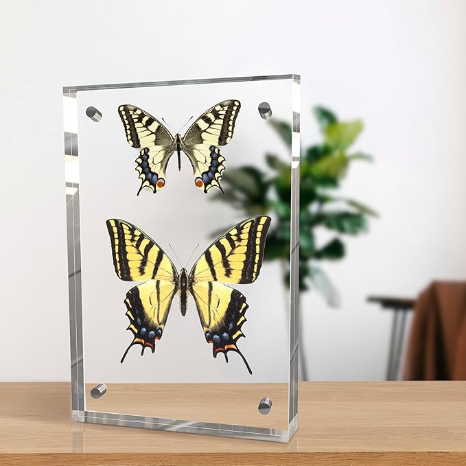 8x10 Inches Acrylic Picture Frames 3 Pack, Double Sided Magnetic Photo Frames,Free Standing on Desk or Table Clear Picture Frames