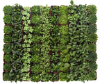 Shop Succulents Verde Succulent Plant Pack Bulk Collection - Live Mini Succulent Plants, Low Maintenance, Mix of Green Succulents & Textures - Wedding and Party Favors, Gift & Garden, Pack of 140