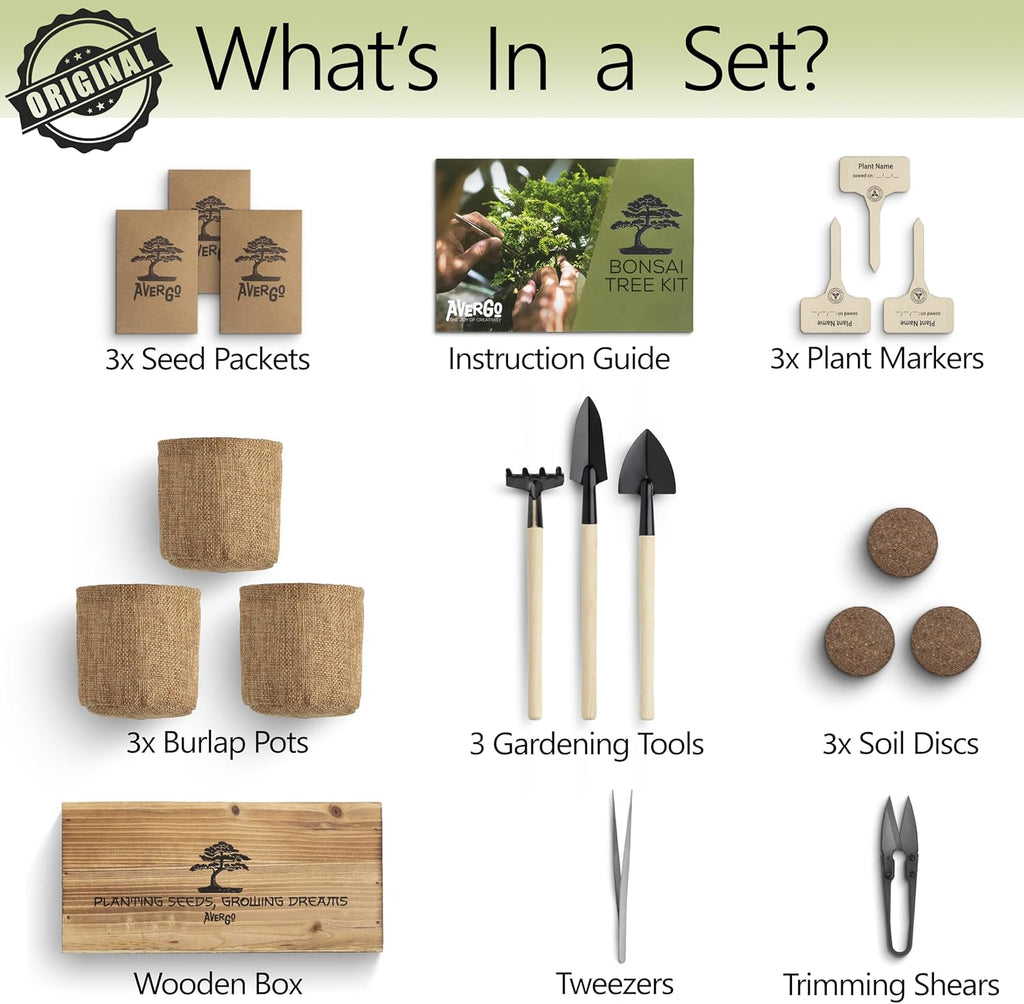 Avergo Bonsai Tree Kit – 3X Unique Japanese Bonzai Trees | Complete Indoor Starter Kit for Growing Bonsai Plants with Tools & Planters – Gardening Gifts for Women & Men
