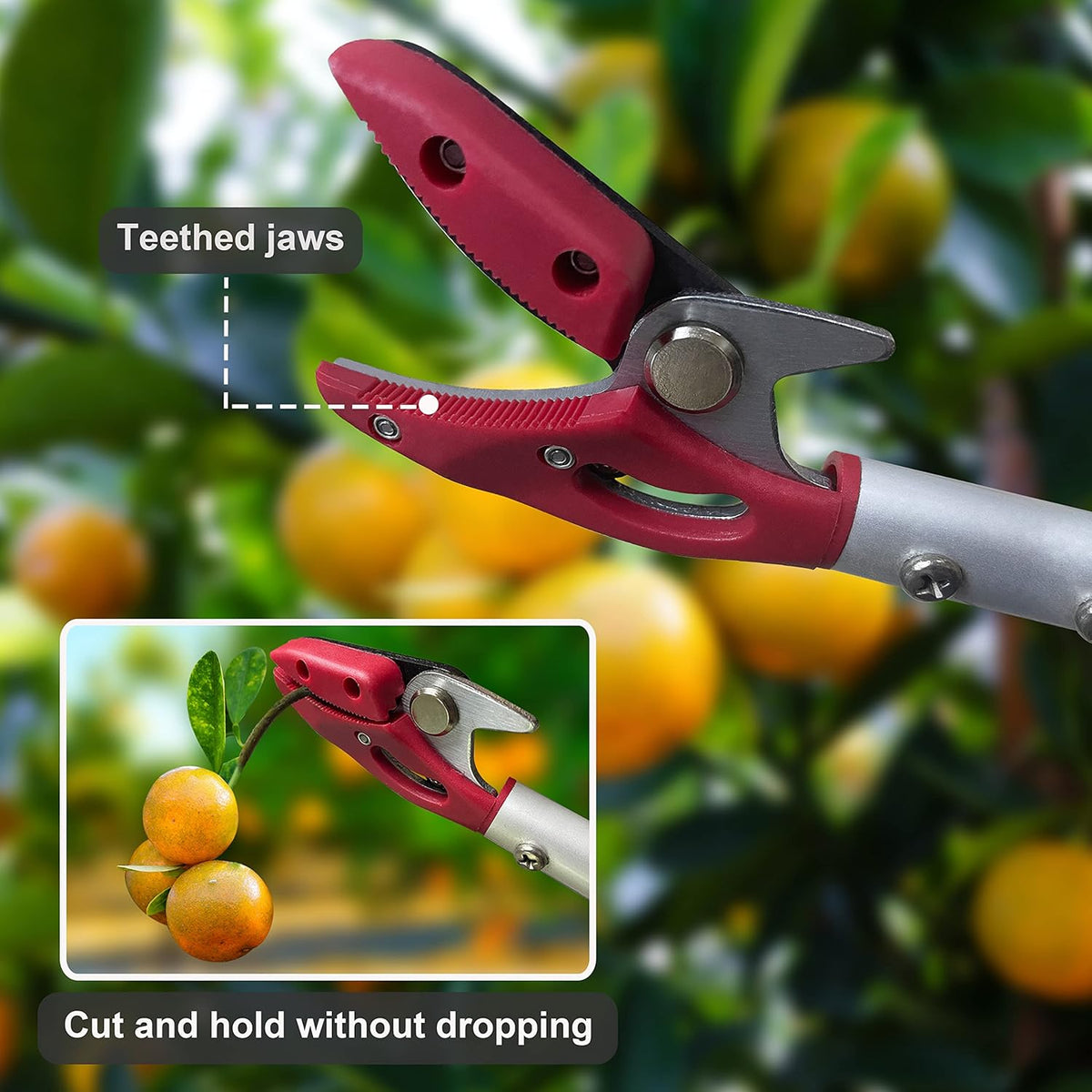 Tree Trimmer, 4 Foot Pole Pruner, Long Reach Pruning Shears, Cut and Hold Garden Clippers, Aluminum Lightweight Handle Fruit Picker, Branch Bypass Loppers