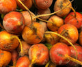 Golden Detroit Beet Seeds for Planting – Plant & Grow Heirloom Golden Detroit Beets in Home Outdoor Vegetable Garden, Beta vulgaris – 2 Packets