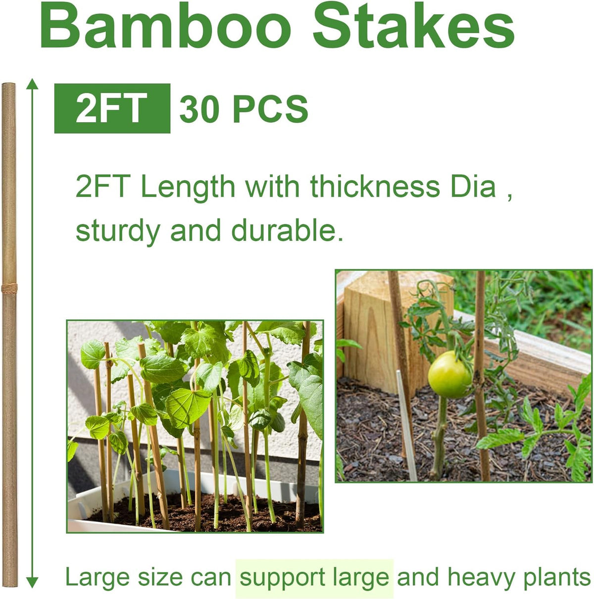 Bamboo Garden Stakes 2ft, 2 Feet Plant Stakes 30 Pack for Outdoor Indoor Plants, Support Tomato, Vegetables Beans, Flowers, Potted and More Climbing Plants