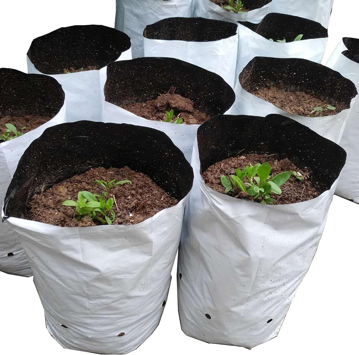 HFS(R Poly Grow Bag Planters Panda Film Black and White for Nursery Horticulture 10 Gallon - 25 PC