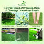 Outsidepride Legacy Fine Fescue Grass Seed Mix - 25 lbs. Shade & Sun Tolerant Blend of Hard Fescue, Chewings Fescue & Creeping Red Fescue with OptiGrowth Coating for Better Establishment