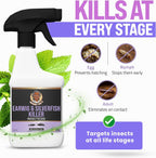 Granny Dee’s Silverfish Killer Indoor & Outdoor (Made in USA) - Kills Pests in 24 Hrs - Plant-Based Bug Killer with Peppermint Oil - Safe for Pets & Kids - Targets Earwigs, Ants, Insect, Fly & Spider
