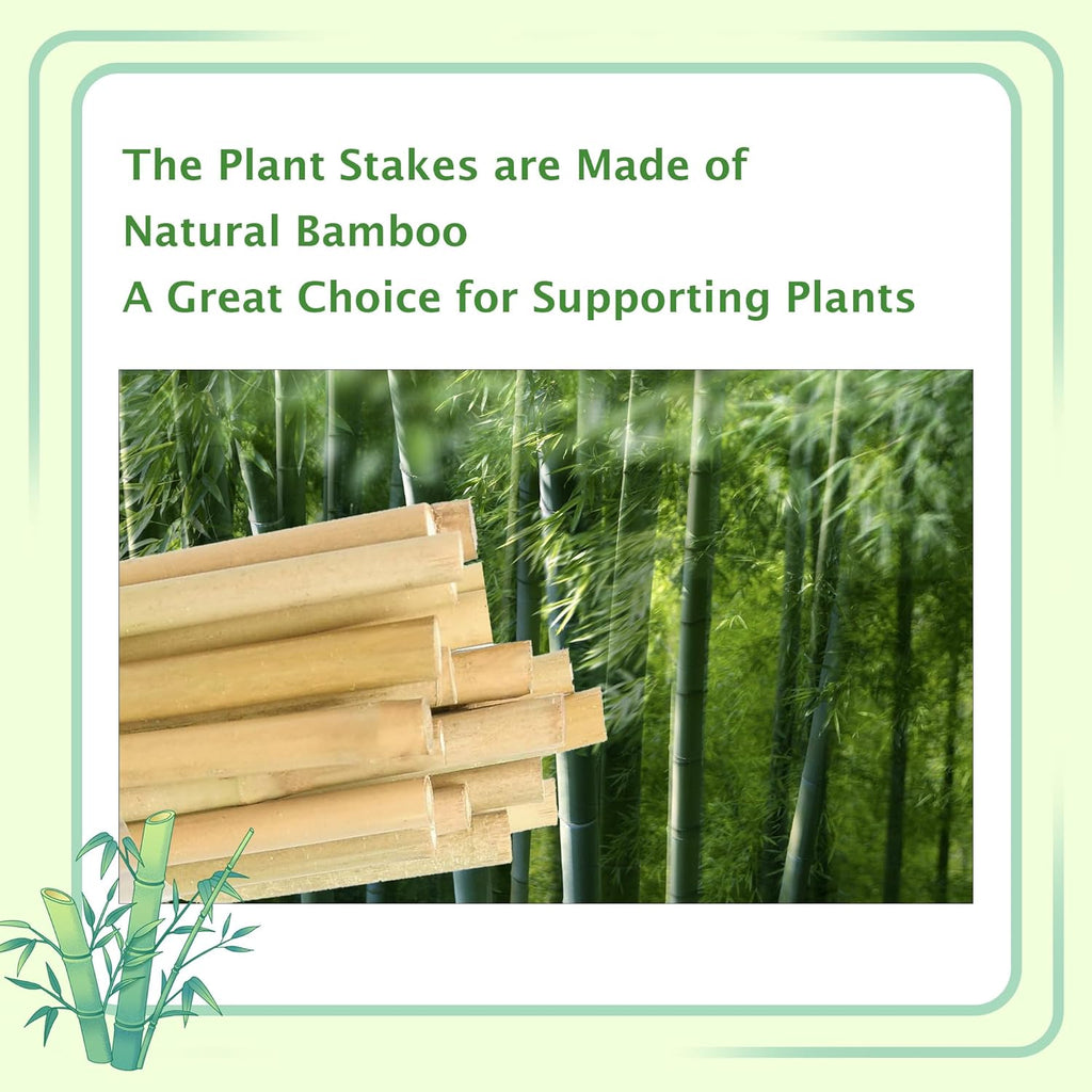 Bamboo Garden Stakes 2ft, 2 Feet Plant Stakes 30 Pack for Outdoor Indoor Plants, Support Tomato, Vegetables Beans, Flowers, Potted and More Climbing Plants
