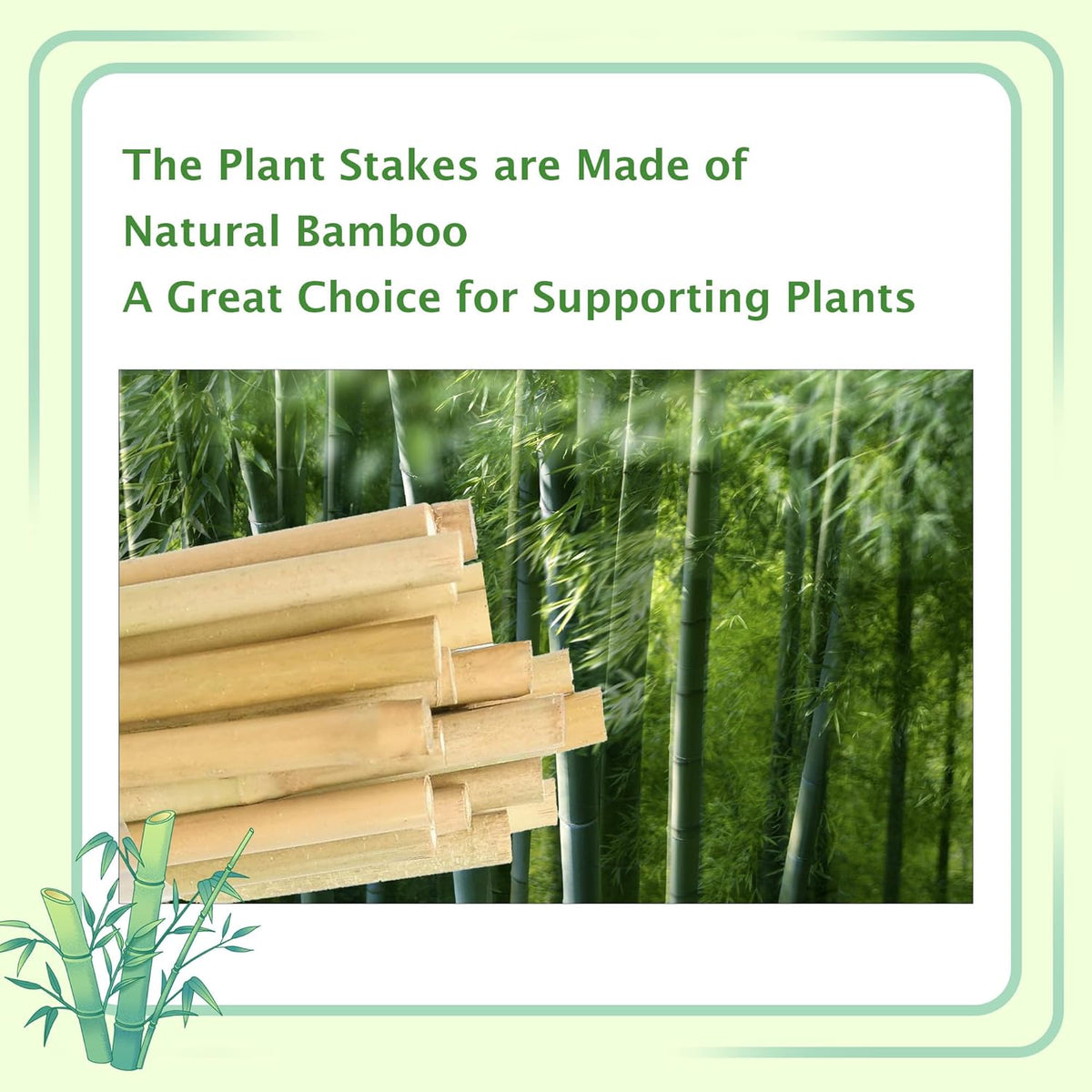 Bamboo Garden Stakes 2ft, 2 Feet Plant Stakes 30 Pack for Outdoor Indoor Plants, Support Tomato, Vegetables Beans, Flowers, Potted and More Climbing Plants