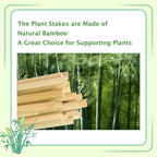 Bamboo Garden Stakes 57 Inch 25pcs, 1/2" Dia Plant Stakes 5ft Approx for Indoor Outdoor Plants, Support Tomato, Cucumber, Beans and More Climbing Plants