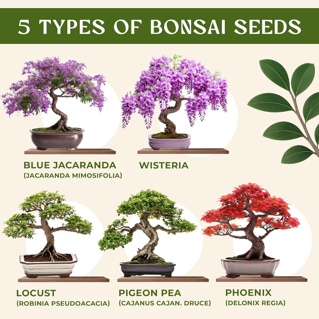 AVERGO Bonsai Tree Kit for Beginners – 5X Unique Japanese Bonzai Trees | Complete Indoor Starter Kit for Growing Plants with Bonsai Seeds, Tools & Planters – Gardening Gifts for Women & Men