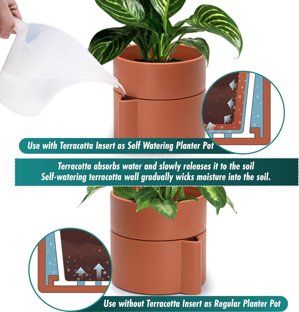 Phoenix Vine 6.5 Inch Self-Watering Planter Pot with Terracotta Insert, Deep Water Reservoir, and Ceramic-Alike BPA-Free Plastic Pot for Plant, Modern Planter for Houseplants, Terracotta, 53-A-S-3