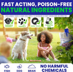Fly Traps Outdoor Fly Trap for Patio. 2 Large Non-Toxic Pre-Baited Flies Bags Outdoor Disposable. Big Hanging Bug Catchers for All Filth Flies Killer for Outside Bug Control in Yard Horse Ranch