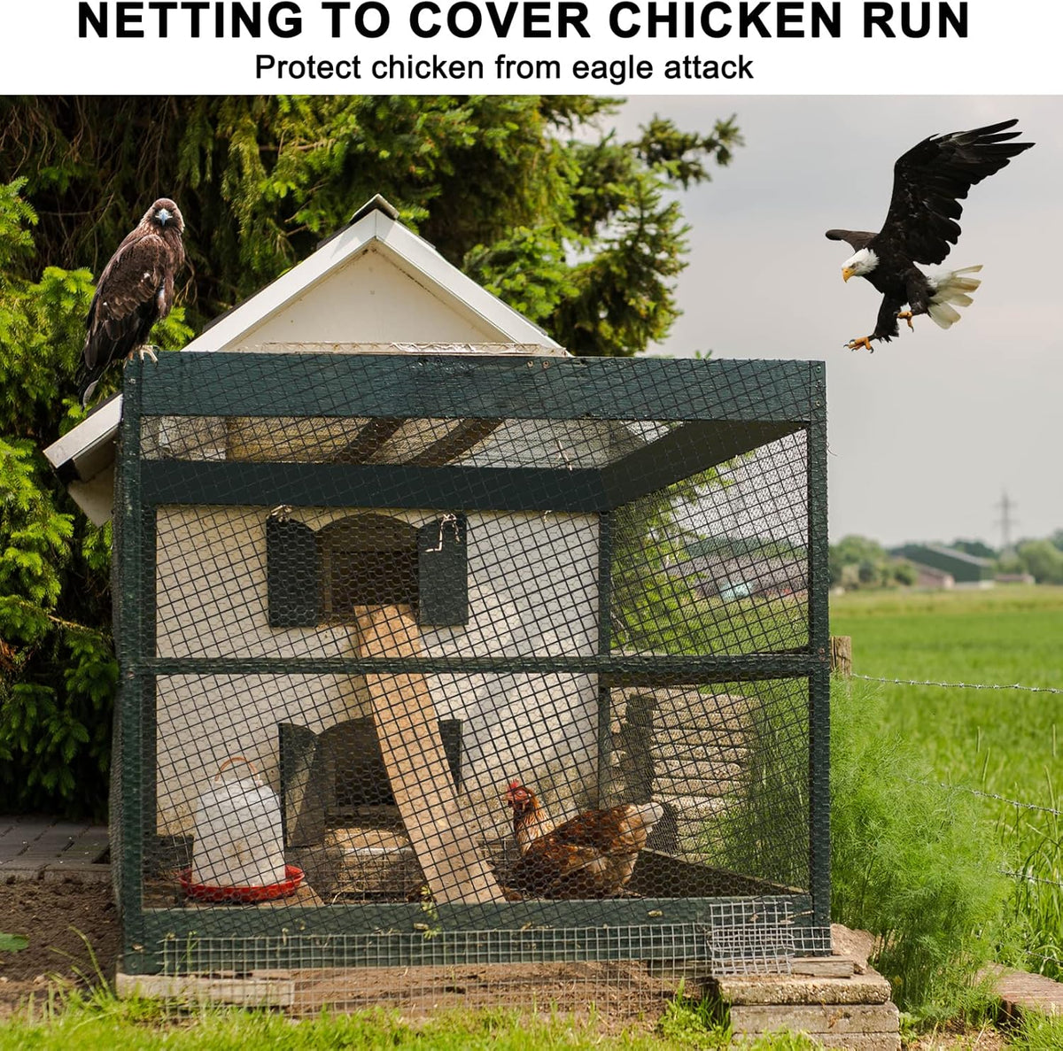 Bird Netting 50'x100' with 3/4" Mesh Hawk Net for Chicken Run,Poultry Netting Heavy Duty Nylon Aviary Net for Chicken Coop Roof Garden Nettings for Fruit Trees Plant