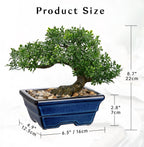 Artificial Bonsai Tree Faux Plants Indoor Fake Plants Decor with Blue Square Ceramic Pots for Home Table Office Desk Bathroom Shelf Bedroom Living Room Farmhouse Decorations
