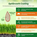 Outsidepride Fireball & Hattrick Rye Grass Seed Blend - 50 Lbs. Wear Tolerant, Fine Leaf Texture Perennial Rye Grass Seeds for Lawn, Sports Turf & More, OptiGrowth Coated for Better Establishment