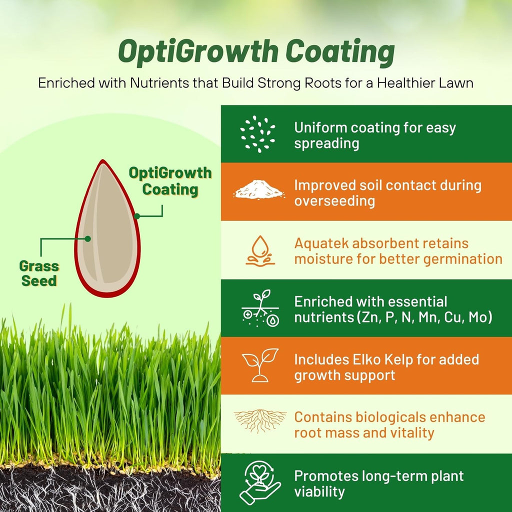 Outsidepride Fireball & Hattrick Rye Grass Seed Blend - 25 Lbs. Wear Tolerant, Fine Leaf Texture Perennial Rye Grass Seeds for Lawn, Sports Turf & More, OptiGrowth Coated for Better Establishment