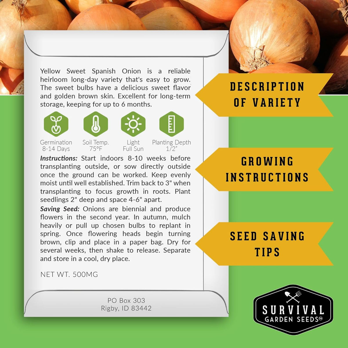 Yellow Sweet Spanish Onion Seed for Planting - 2 Packets with Instructions to Plant and Grow Long Day Onions in Your Home Vegetable Garden - Non-GMO Heirloom Variety - Survival Garden Seeds