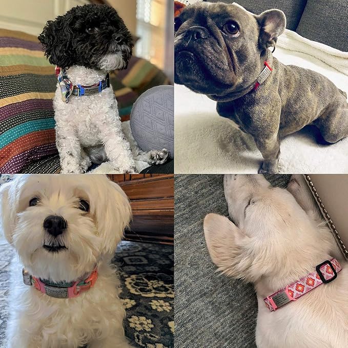 Personalized Dog ID - No Noise - Engraved Dog Name - Slide On Cat ID - Custom Collar Tags for Small, Medium, Large Dogs & Cats