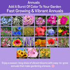 NatureZ Edge Wildflower Seeds Mix – 1/4 lb, 170,000 Seeds, 35 Variety Perennial & Annual Flower Seeds to Plant Outside, Bulk Wildflower Seeds, Wild Flower, Semillas de Flores