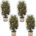 4 Pcs Insect Bird Barrier Tree Net with Drawstring, 4.9 x 3.2 Ft Garden Bird Netting Plant Cover, Fruit Tree Netting for Protect Plants Fruits Flowers from Insect Bird Eating