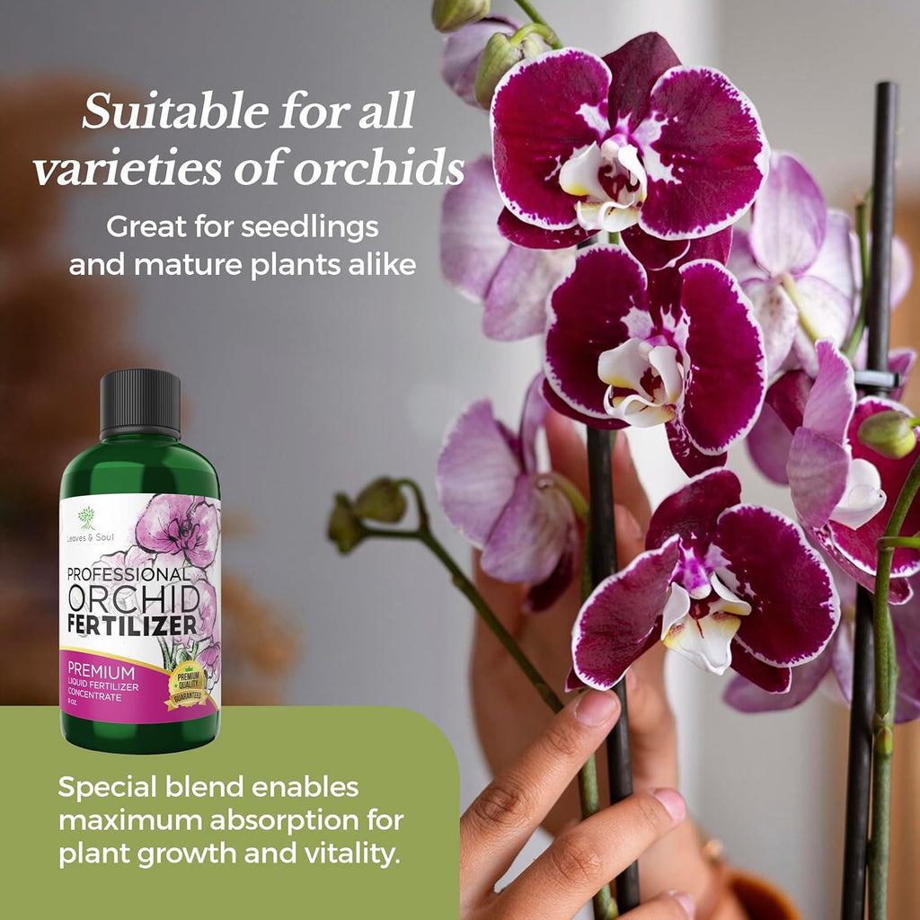 Professional Liquid Indoor Orchid Fertilizer | 3-1-2 Concentrate for Plants and Flowers | Multi-Purpose Blend & Gardening Supplies | 8 oz Bottle