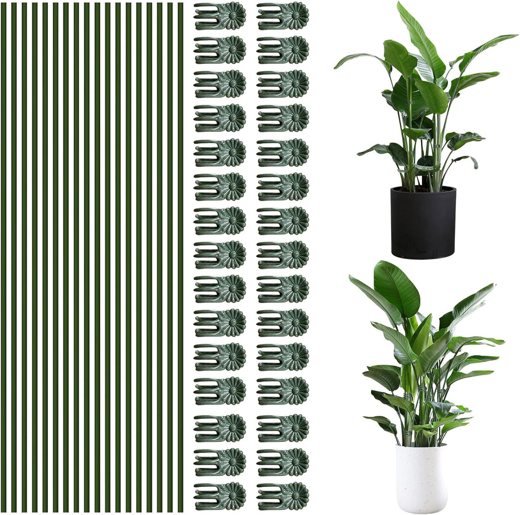 50Pcs Plant Stake Clip Set Green, Plant Sticks Supplies Support Tall, Useful Support Clips, Fine Workmanship Allow Bending Suitable for Various Plant Pots Indoors and Outdoors