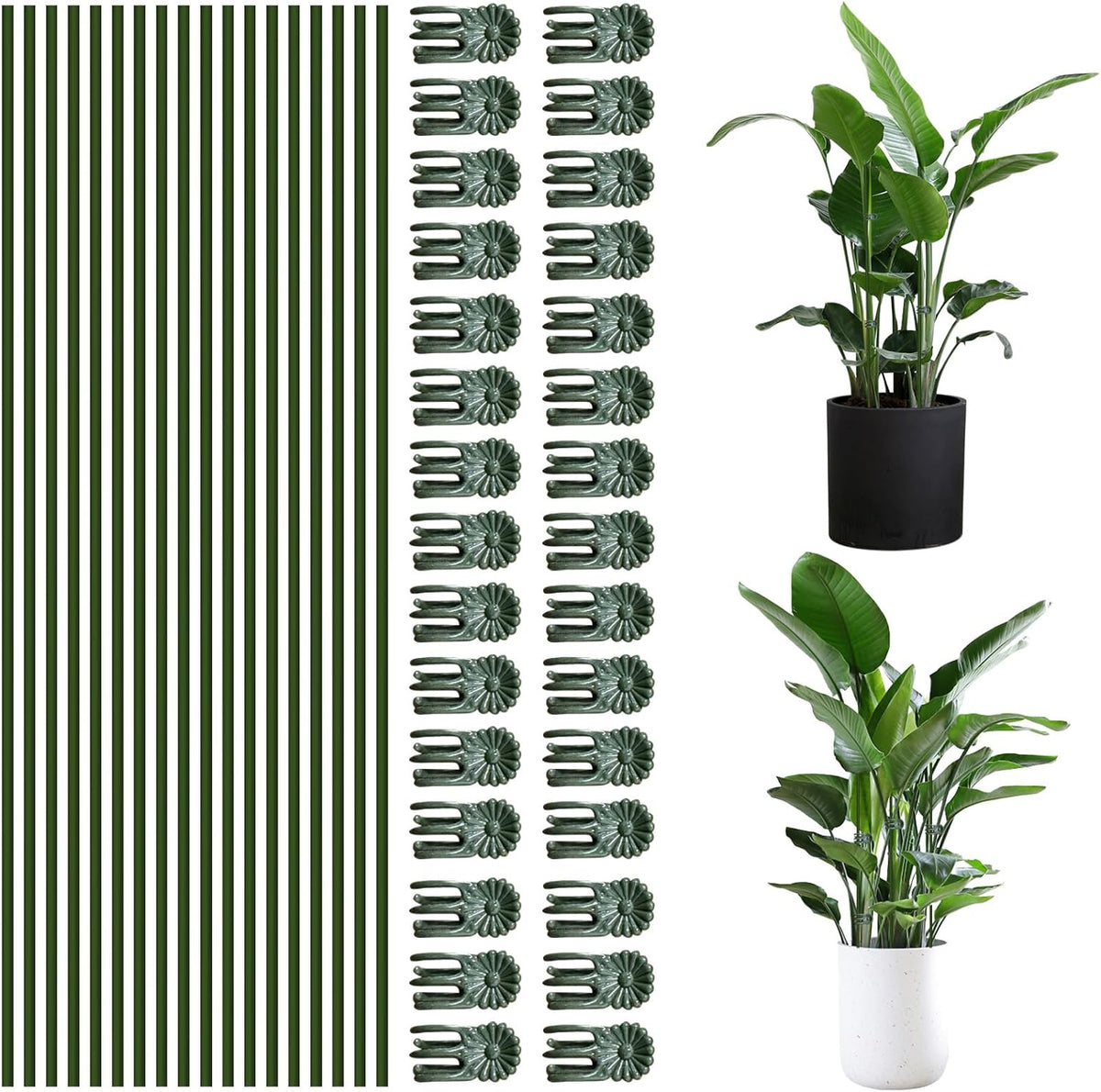 50Pcs Plant Stake Clip Set Green, Plant Sticks Supplies Support Tall, Useful Support Clips, Fine Workmanship Allow Bending Suitable for Various Plant Pots Indoors and Outdoors