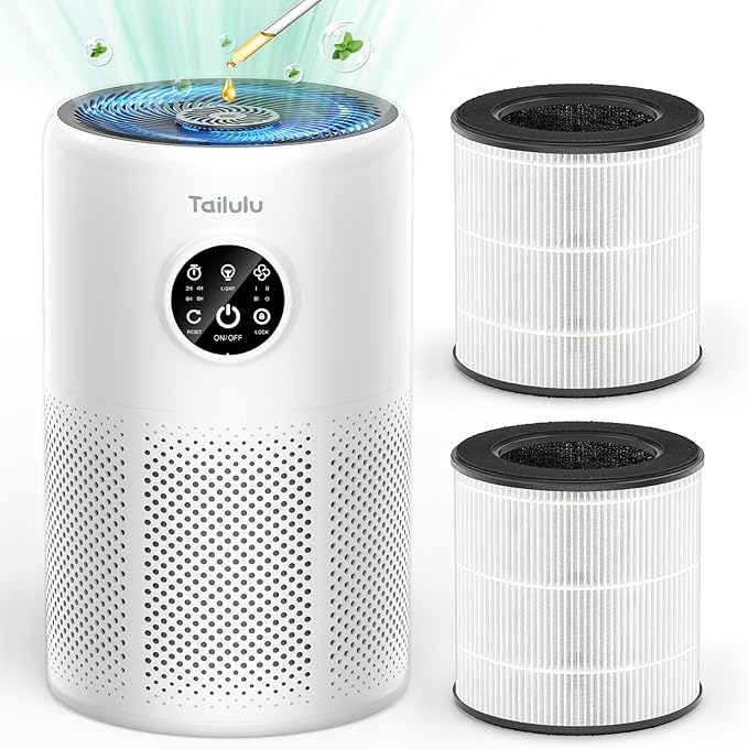 Tailulu 2 Pack D10 Replacement Filter, Air Purifier Filter for Tailulu D10 Air Purifier, 3-in-1 H13 Grade True Replacement Filte with Extra 6 Pieces Aroma Pads