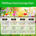 NatureZ Edge Wildflower Seeds Mix – 1/4 lb, 170,000 Seeds, 35 Variety Perennial & Annual Flower Seeds to Plant Outside, Bulk Wildflower Seeds, Wild Flower, Semillas de Flores