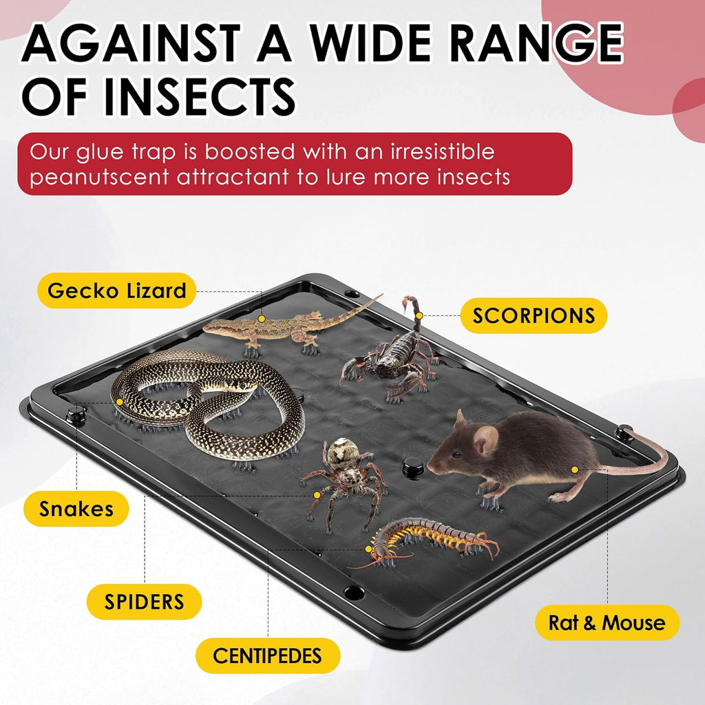 Qualirey 8 Pack Jumbo Rat & Mouse Glue Traps, 11.8 X 9.84 in Large Heavy Duty Mouse Traps Indoor for Home, Pre Scented Adhesive Plastic Tray with for Spider, Snake, Mice, Kids and Pet Safe (Black)
