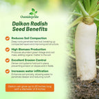 Outsidepride Annual Daikon Radish Seeds - 1 oz. Chinese, Japanese, & Oriental Radish Seeds for Soil Health, Erosion Control, & Soil Aeration - Ideal for Gardens, Cover Crops, Pastures, & Food Plots