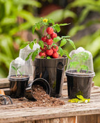 homenote Nursery Pots for Plants,3/4/5 Inch Plant Pot for Planting with Humidity Domes Plastic Seedling with Drainage Holes Seed Starter Flower with 10 Labels Black (15 Pack)