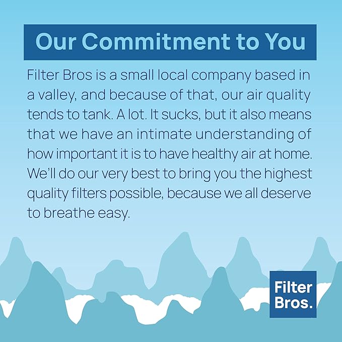 Filter Bros LV-H132-RF High Efficiency Activated Carbon Replacement Filter Fits LEVOIT H132
