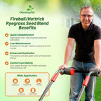 Outsidepride Fireball & Hattrick Rye Grass Seed Blend - 50 Lbs. Wear Tolerant, Fine Leaf Texture Perennial Rye Grass Seeds for Lawn, Sports Turf & More, OptiGrowth Coated for Better Establishment
