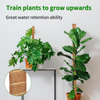 3 Pack Moss Pole, 35.4-Inch Moss Poles for Plants Monstera,Bendable Plant Support Stakes for Climbing Plants Indoor, Garden Trellis Plant Stick for Potted Plants, Pothos Philodendron