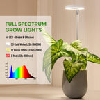 LBW Grow Lights for Indoor Plants, Full Spectrum Halo Grow Light with Base