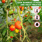 60 Pcs Bamboo Stakes, 6 Feet Natural Bamboo Garden Stakes for Plant, Garden Bamboo Plant Sticks for Plants Support, Tomato, Beans, Vegetable, Trees and Climbing Plants