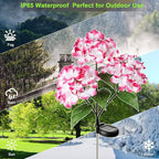 Solar Flower Lights - 2 Pack Waterproof Garden Lights with Solar Hydrangea Stake, Decorative for Patio, Courtyard, Garden Lawn (Blue & Rose Red)