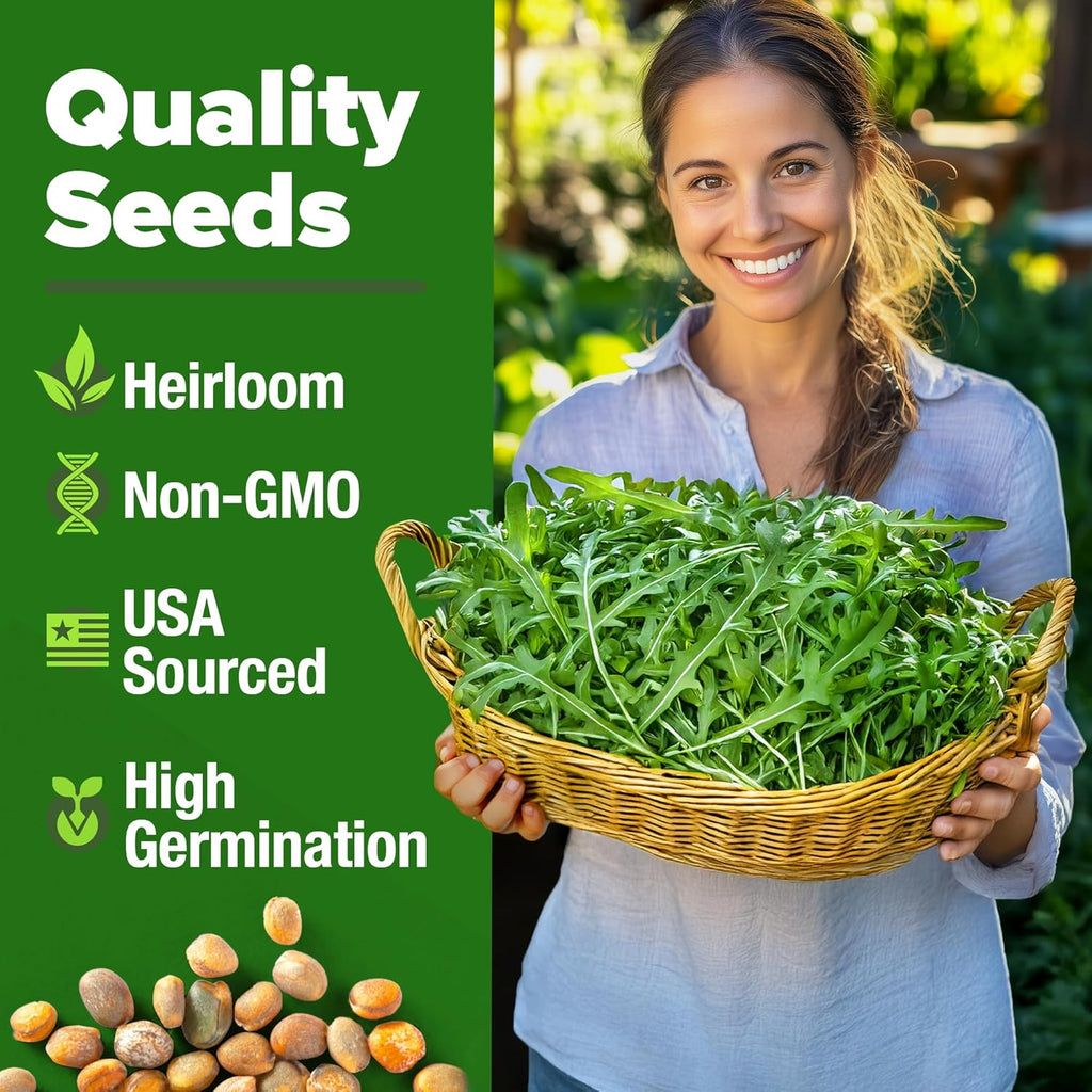HOME GROWN Arugula Seed 2 Pack – 4350 𝗡𝗢𝗡-𝗚𝗠𝗢 𝗨𝗦𝗔 Vegetable Seeds – Ideal Seeds for Hydroponic Garden Indoor – Premium and Heirloom Arugula Seeds for Planting (Eruca vesicaria)