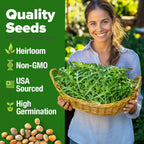 HOME GROWN Arugula Seed 2 Pack – 4350 𝗡𝗢𝗡-𝗚𝗠𝗢 𝗨𝗦𝗔 Vegetable Seeds – Ideal Seeds for Hydroponic Garden Indoor – Premium and Heirloom Arugula Seeds for Planting (Eruca vesicaria)
