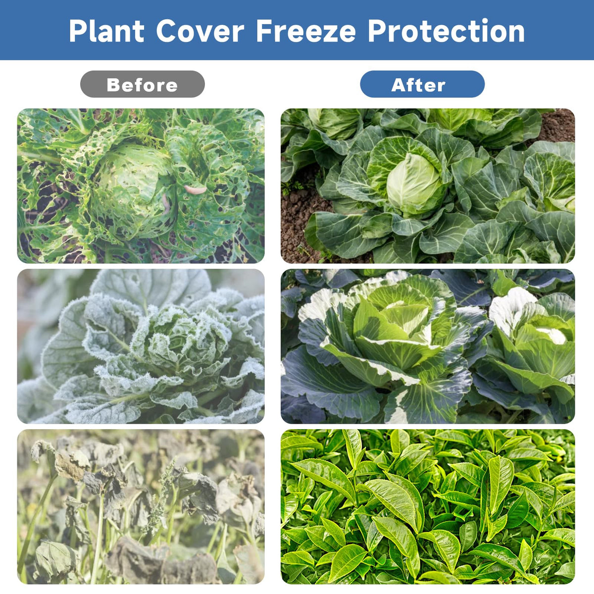 Plant Covers Freeze Protection,10 ft x 40 ft 1.1oz/yd² Thicker Floating Row Blanket Cover Fabric Plant Cloth for Winter Frost Snow and Garden Protection