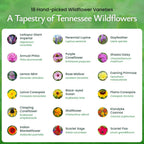 Created By Nature Tennessee Wildflower Seed Mix, 18 Flower Varieties, 35,000 Seeds