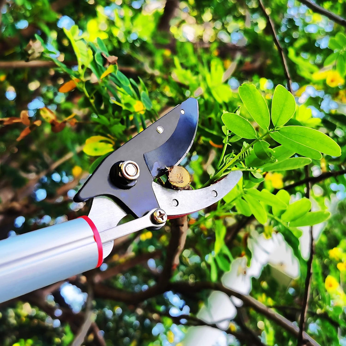 5.4-14.8 FT Tree Pruner Extendable 4 Sections, Telescopic Cut and Hold Trimmers Pole Saws Trimming Long Reach Pruning Shears Branch Cutter Clipper Bypass Lopper Fruit Picker